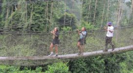 SC State students cross the rope bridge at Kakum National Park in Ghana.