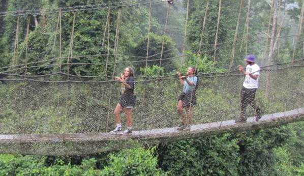 SC State students cross the rope bridge at Kakum National Park in Ghana.